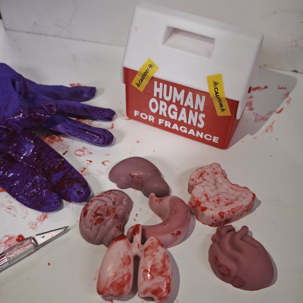 Órganos humanos - pack waxmelt temáticos