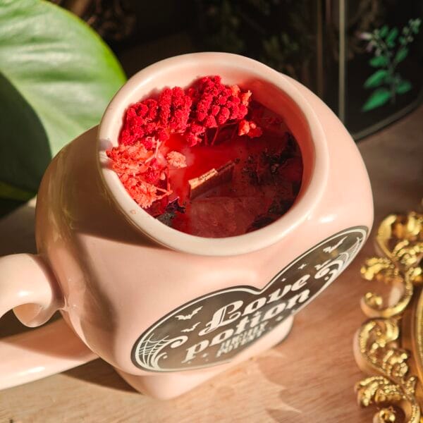 Vela Love Potion 300ml – Fresa con Nata y Crema Catalana (Mega Gourmand)