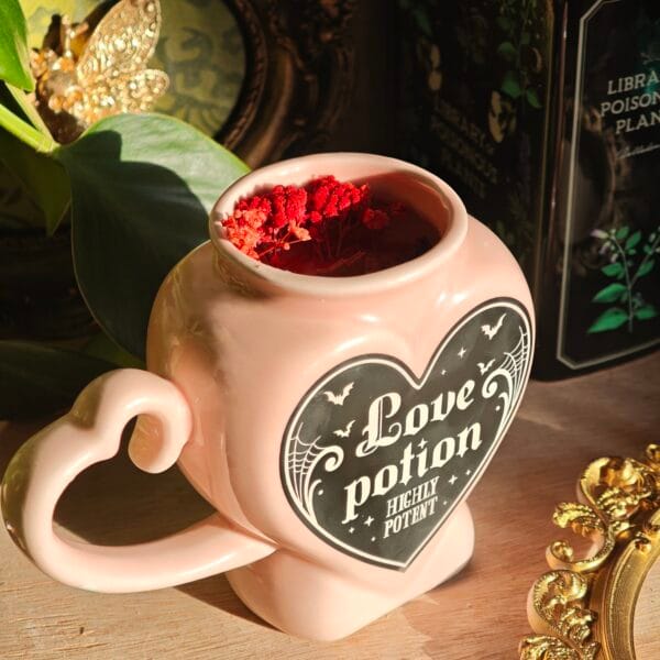 Vela Love Potion 300ml – Fresa con Nata y Crema Catalana (Mega Gourmand)