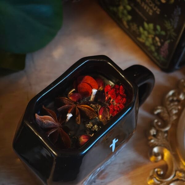 Vela Taza ataúd 'Esencia Antigua' – Biblioteca, Incienso y Cedro (230ml)