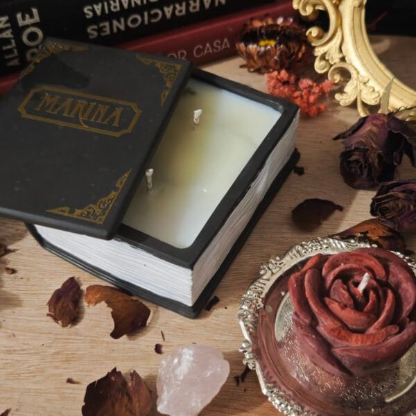2026/04/1000134230-scaled.jpg 🕯️ Pack Especial Sant Jordi: Vela Libro + Kit de Encendido + Regalo 🌹