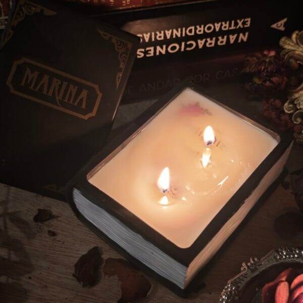 2026/04/1000134238-1-scaled.jpg 🕯️ Pack Especial Sant Jordi: Vela Libro + Kit de Encendido + Regalo 🌹