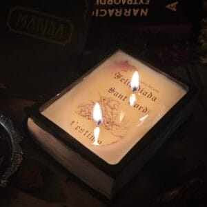 🕯️ Pack Especial Sant Jordi: Vela Libro + Kit de Encendido + Regalo 🌹