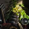 Jarrón "Black Cat Magick" – Apilado de Libros Gótico
