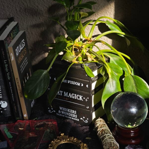 Jarrón "Black Cat Magick" – Apilado de Libros Gótico