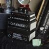 Quemador de Esencias "Gato Negro sobre Libros" – Quemador de Aceite Cerámico Estilo Místico y Brujil