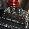 Quemador de Esencias "Gato Negro sobre Libros" – Quemador de Aceite Cerámico Estilo Místico y Brujil