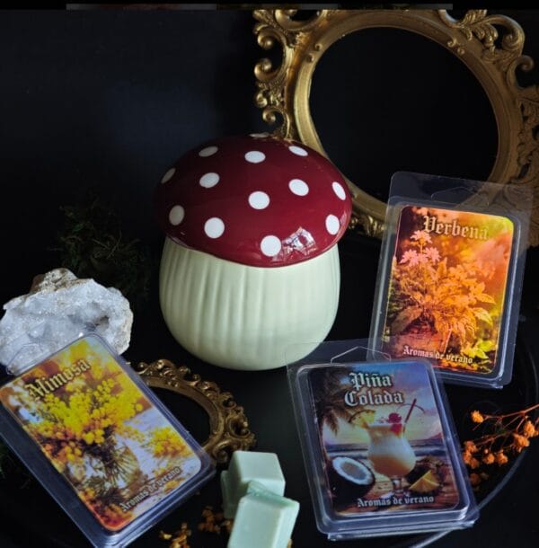 Captura de pantalla 2026-06-05 133526 Aromas de Verano | Wax Melts y Velas Artesanales