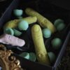Witch Parts – Dedos y Verrugas de Bruja Wax Melt