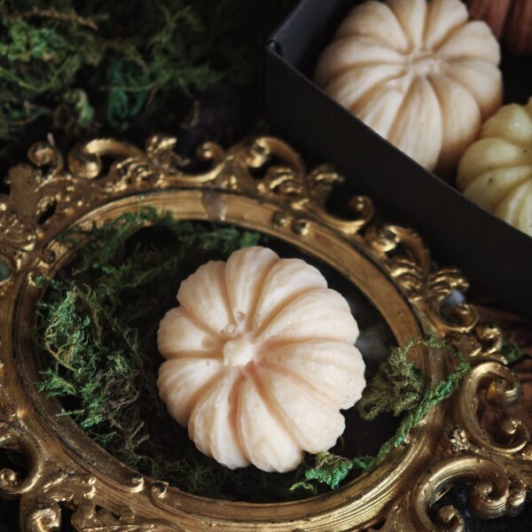 2026/08/1000144543-scaled.jpg Pumpkin Coven – Pack de 4 Calabazas Wax Melt