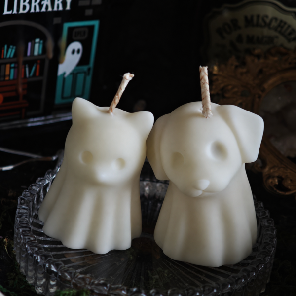 Familiar Spirits – Pack Perro y Gato Fantasma