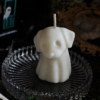 Familiar Spirits – Pack Perro y Gato Fantasma