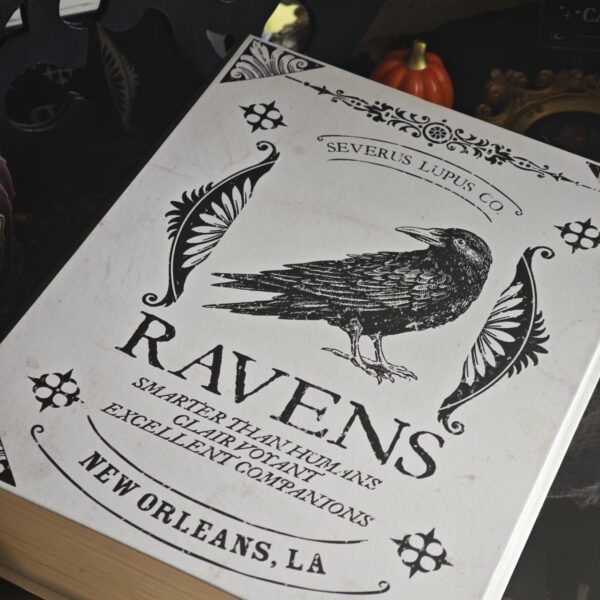 RAVENS XL – Caja Regalo Gótica con Velas, Inciensos y Amuleto