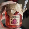 EL ORÁCULO DE MEDIANOCHE – Pack Regalo de Velas, Inciensos y Wax Melts