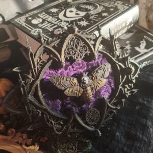 Marco Gótico Polilla Calavera – Decoración Gótica de Pared